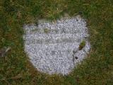 image of grave number 709198
